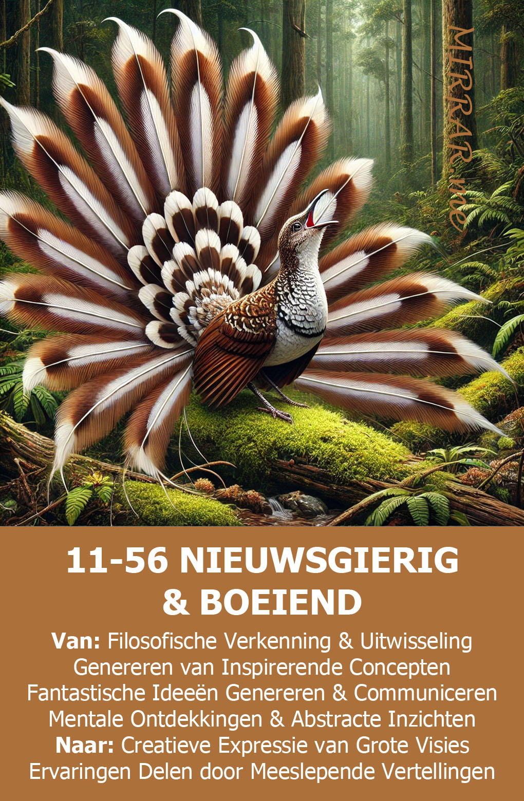 Kanaal 11-56 NIEUWSGIERIG & BOEIEND.jpg