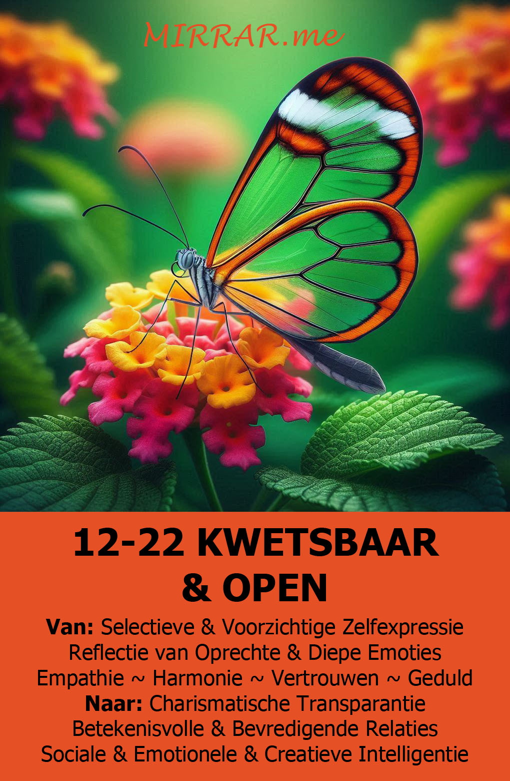 Kanaal 12-22 KWETSBAAR & OPEN.jpg