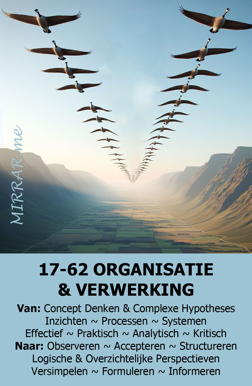 Kanaal 17-62 ORGANISEREN & VERWERKEN.jpg