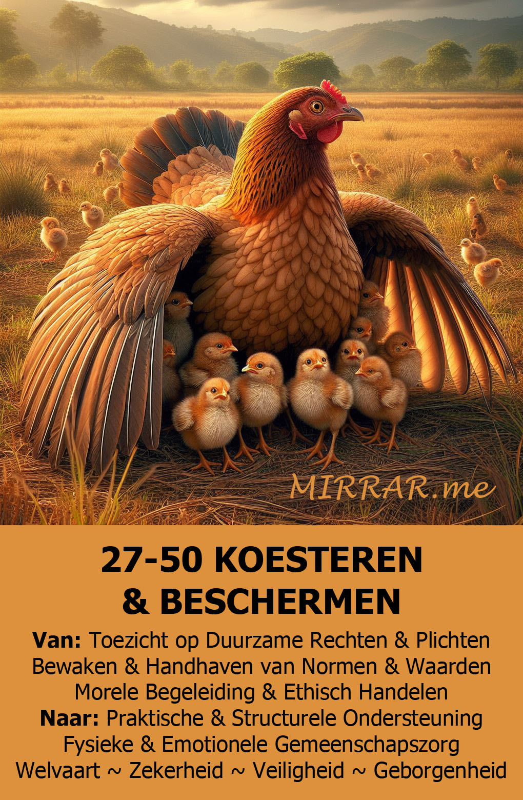 Kanaal 27-50 KOESTEREN & BESCHERMEN.jpg