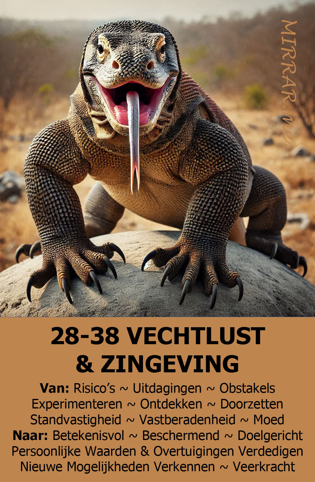 Kanaal 28-38 VECHTLUST & ZINGEVING.jpg