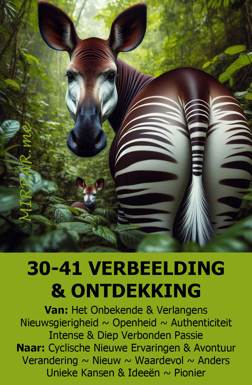 Kanaal 30-41 VERBEELDING & ONTDEKKING.jpg