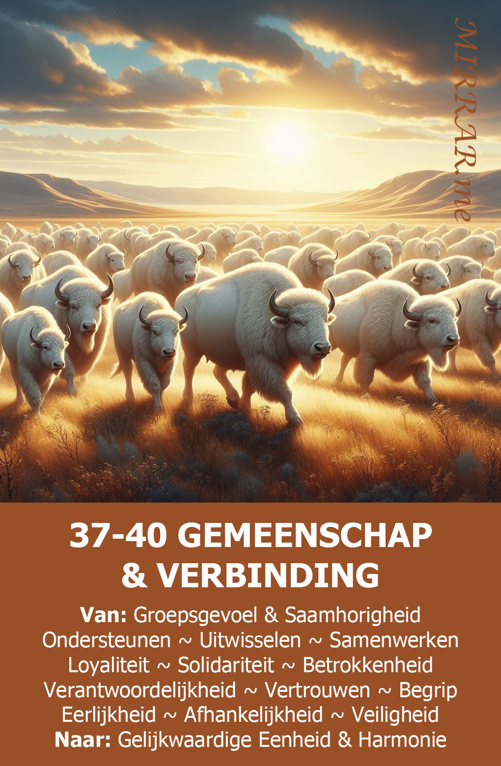 Kanaal 37-40 GEMEENSCHAP & VERBINDING.jpg