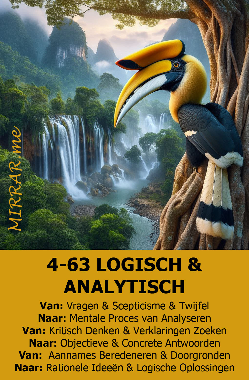 Kanaal 4-63 LOGISCH & ANALYTISCH.jpg