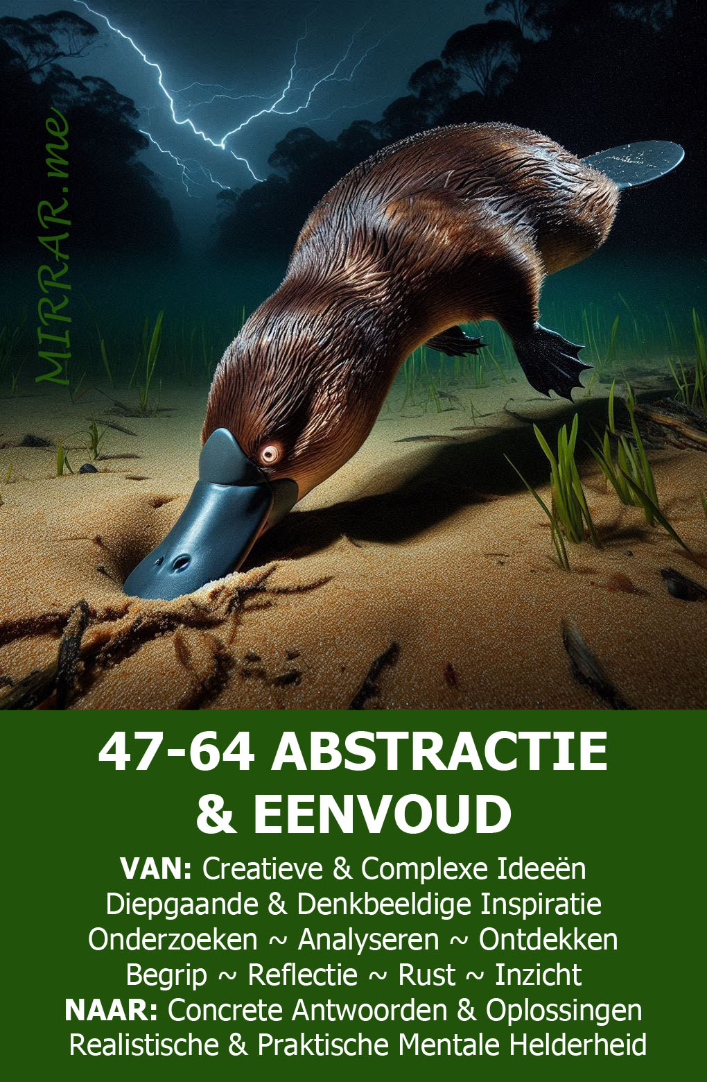 Kanaal 47-64 VEREENVOUDIGEN & REALISEREN.jpg