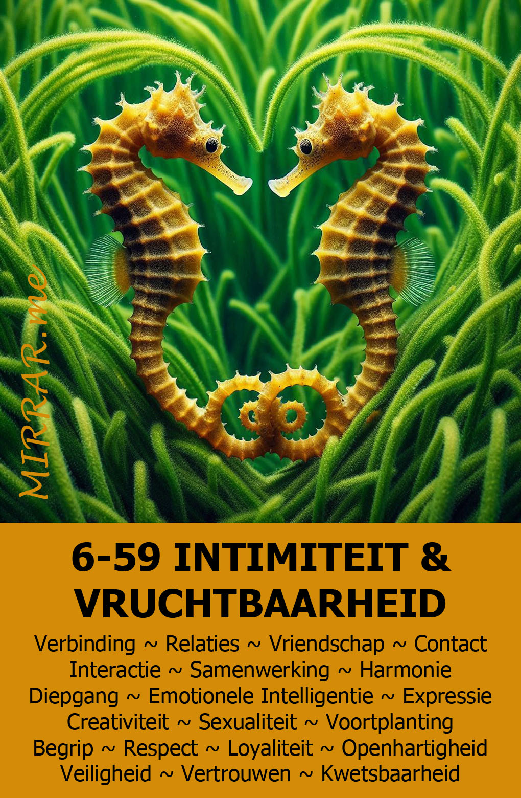 Kanaal 6-59 INTIMITEIT & VRUCHTBAARHEID.jpg