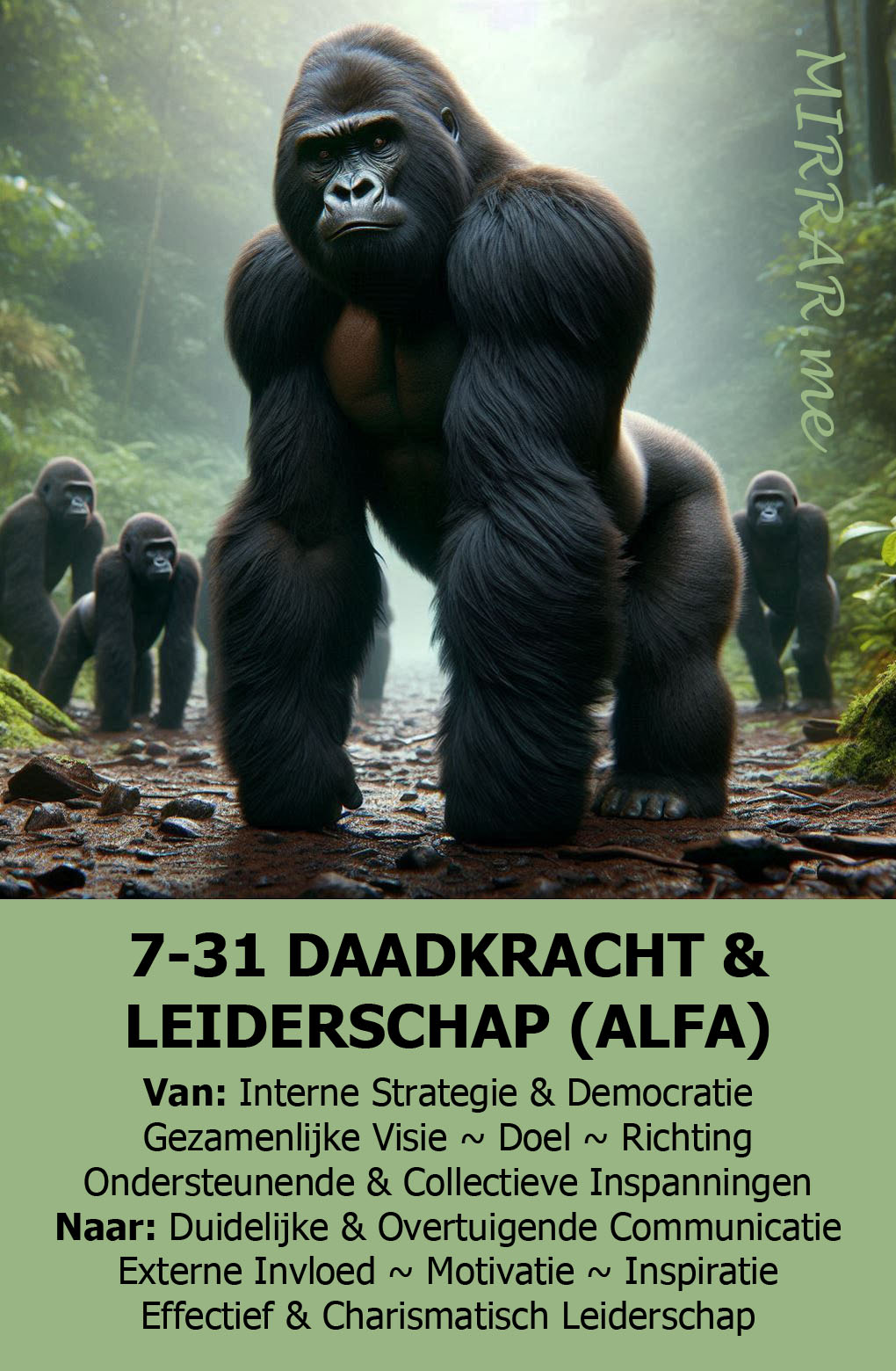Kanaal 7-31 DAADKRACHT & LEIDERSCHAP.jpg