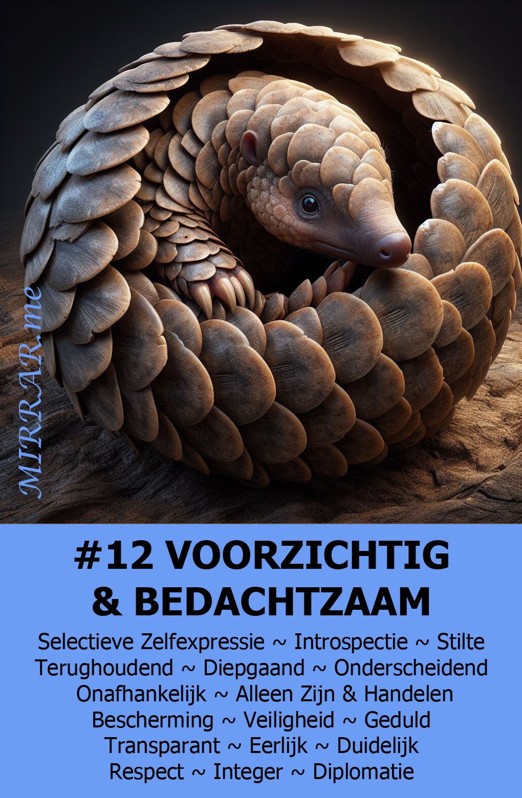 Kaart 12 VOORZICHTIG & BEDACHTZAAM.jpg