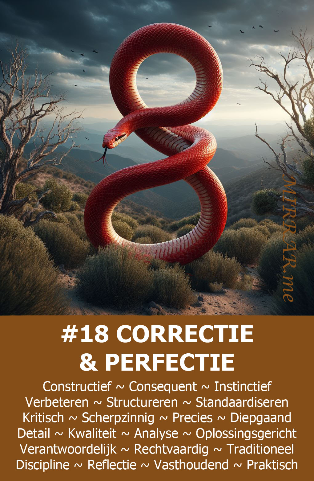 Kaart 18 CORRIGEREN & PERFECTIONEREN.jpg