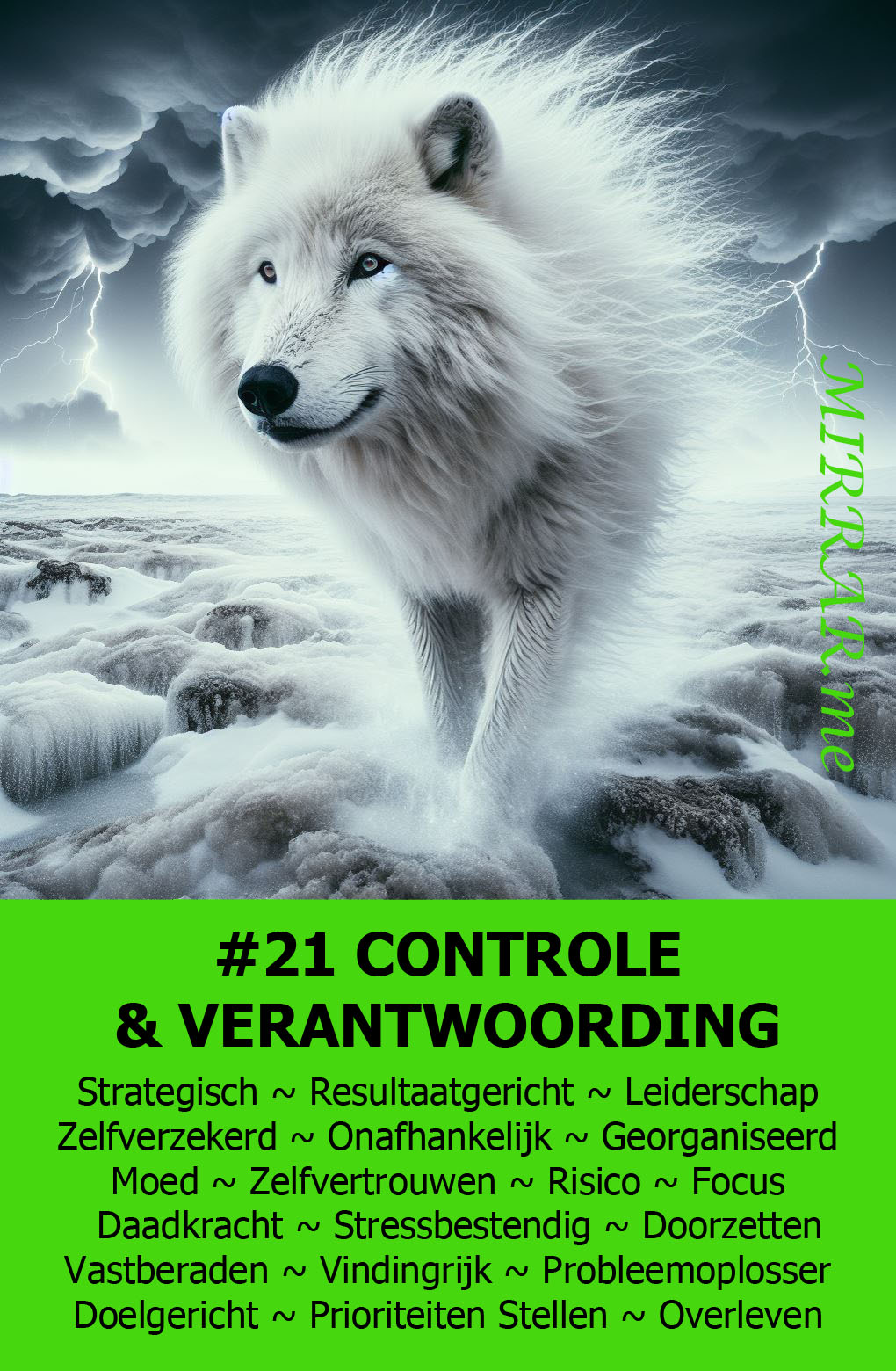 Kaart 21 CONTROLE & VERANTWOORDING.jpg