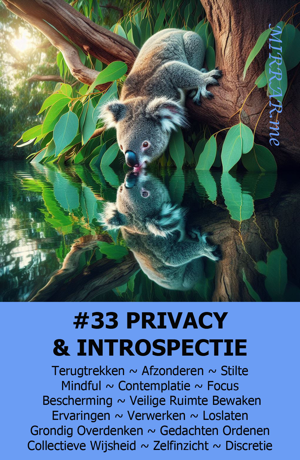 Kaart 33 PRIVACY & INTROSPECTIE.jpg