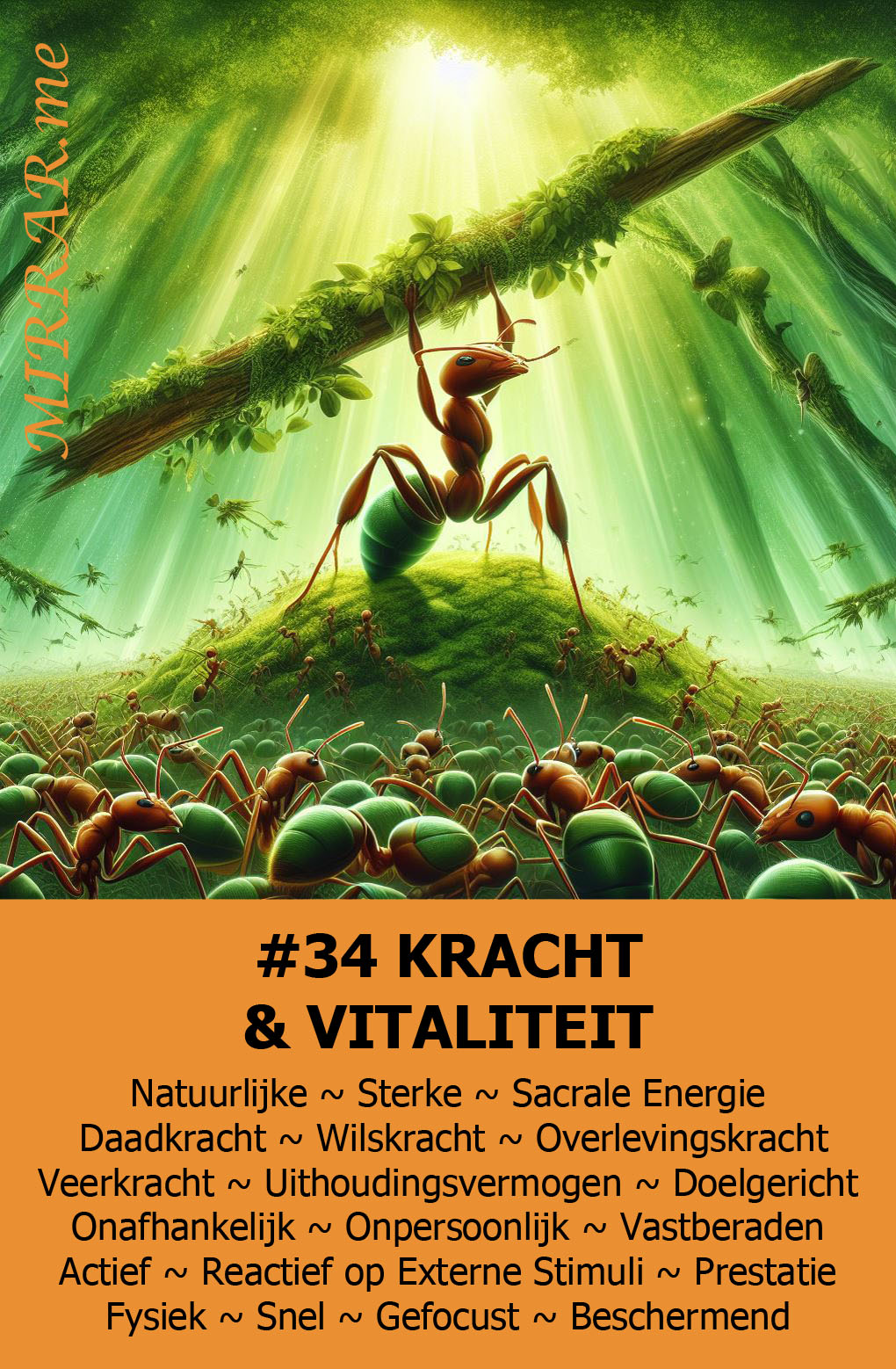 Kaart 34 KRACHT & VITALITEIT.jpg