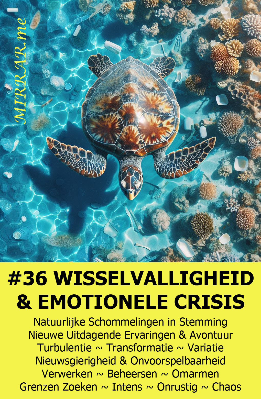 Kaart 36 WISSELVALLIGHEID & EMOTIONELE CRISIS.jpg