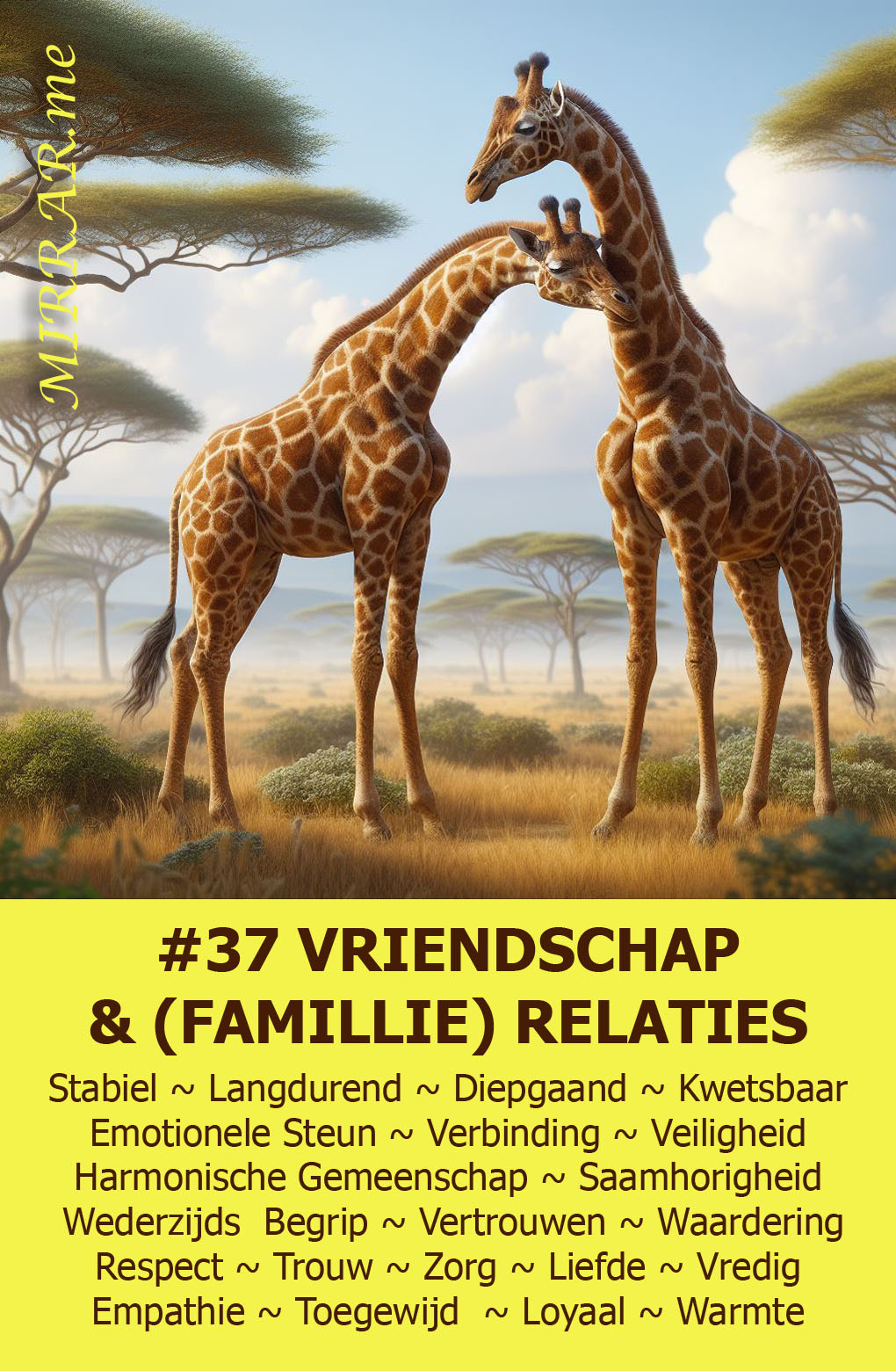 Kaart 37 VRIENDSCHAP & (FAMILIE) RELATIES.jpg