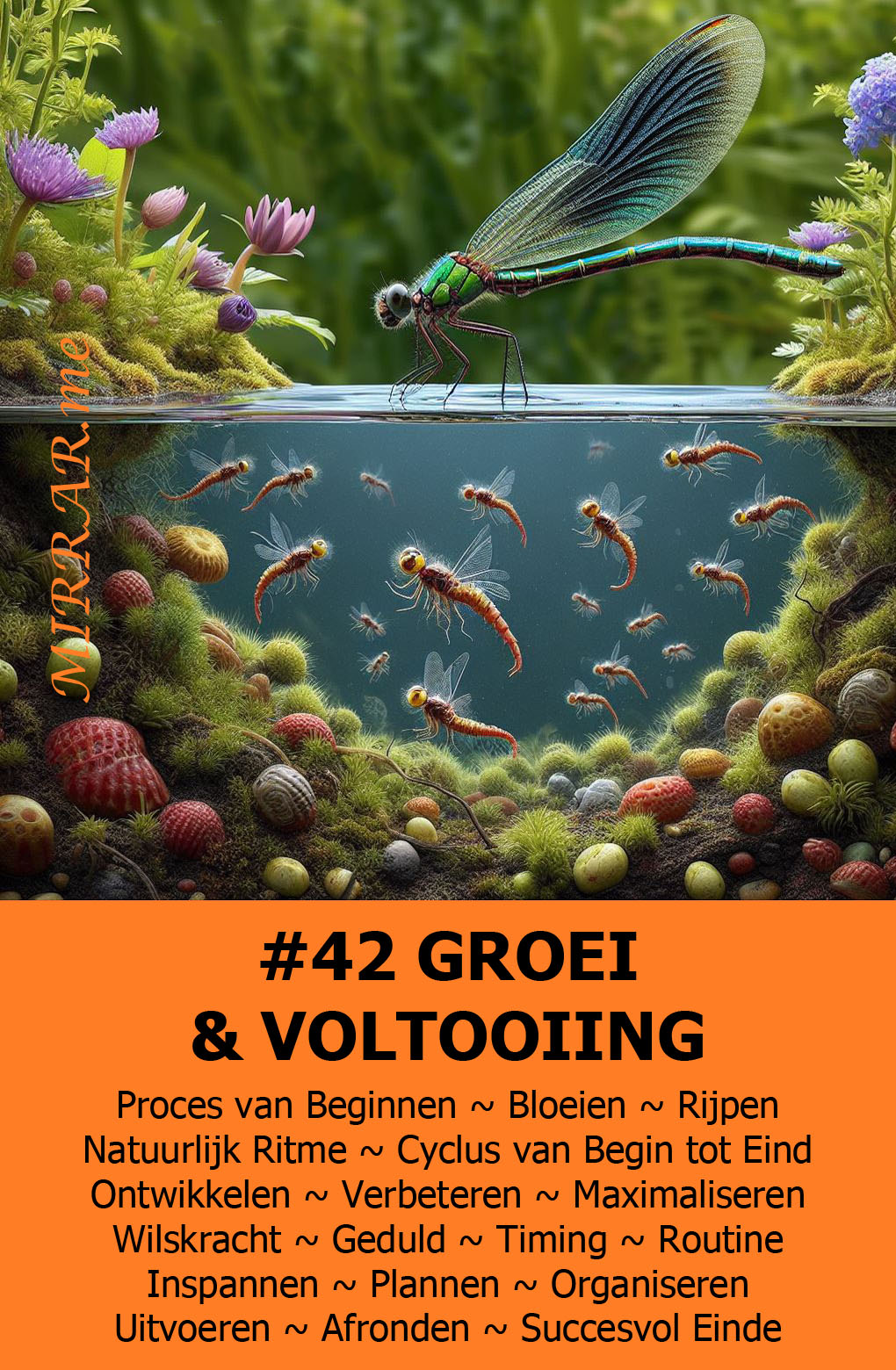 Kaart 42 GROEI & VOLTOOIING.jpg