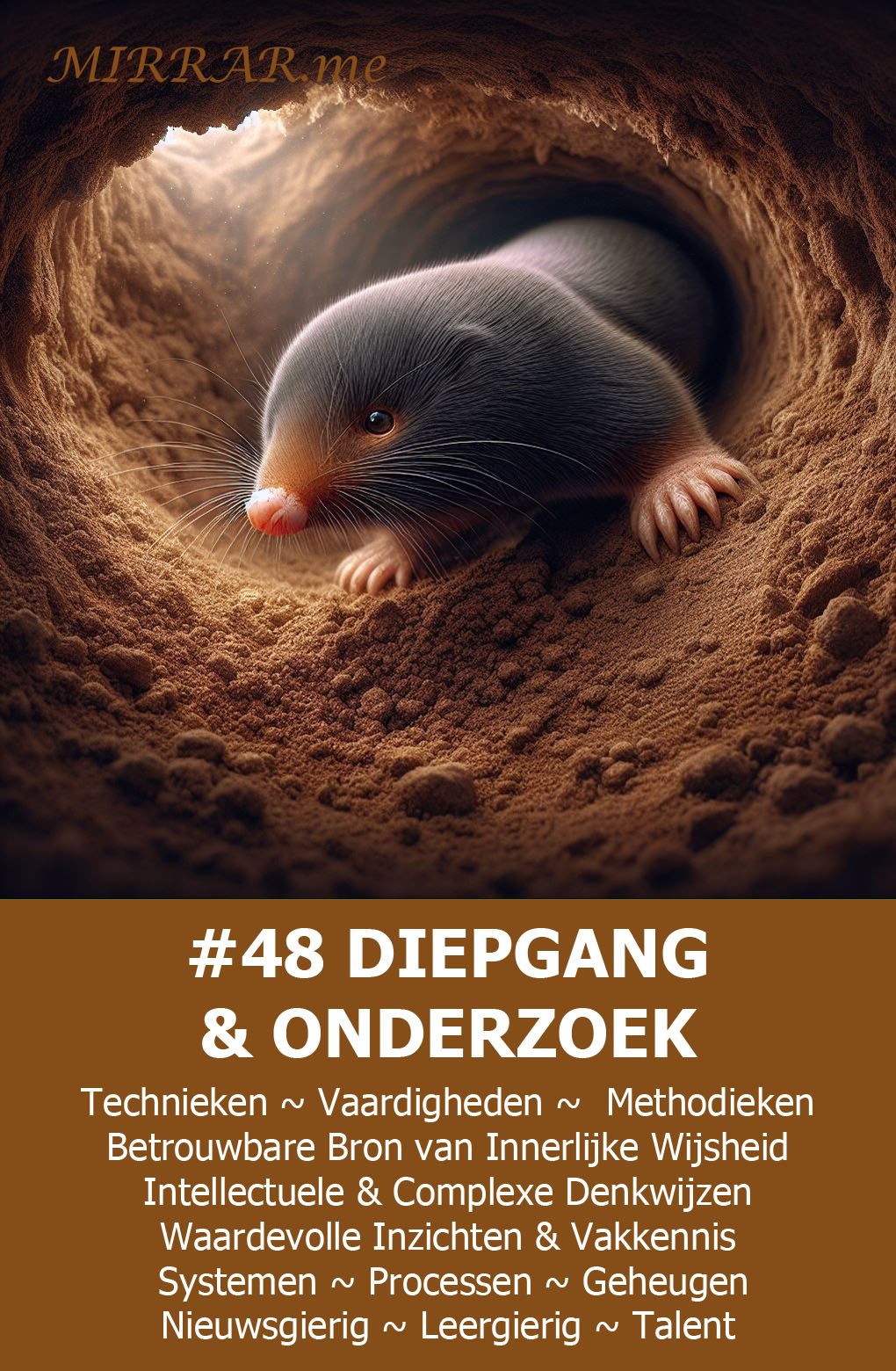 Kaart 48 DIEPGANG & ONDERZOEK.jpg