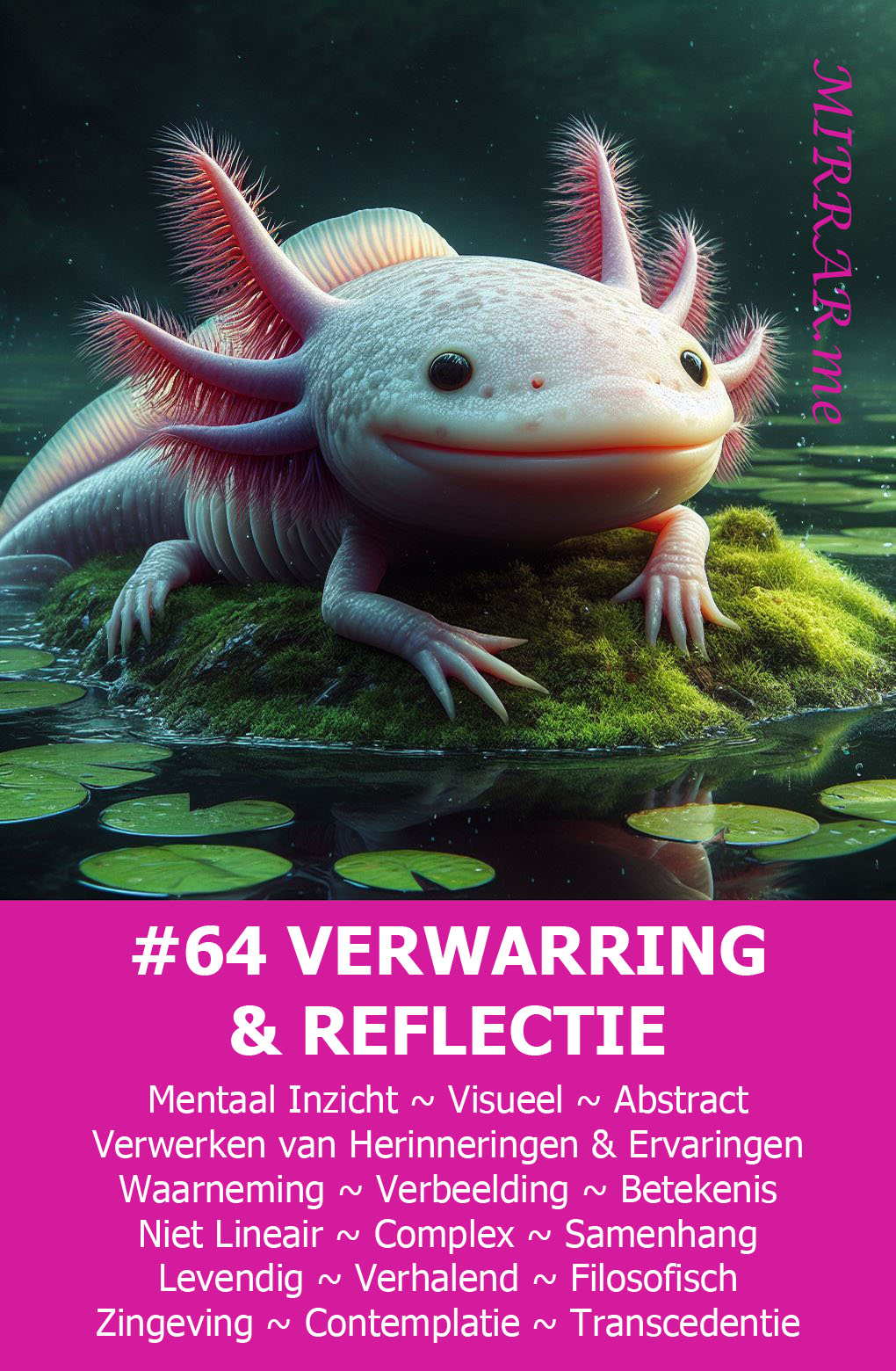 Kaart 64 VERWARRING & REFLECTIE.jpg